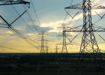 rede elétrica animal