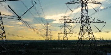 rede elétrica animal