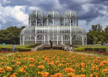 Foto: Divulgação/Prefeitura de Curitiba