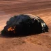 objeto espaço deserto austrália