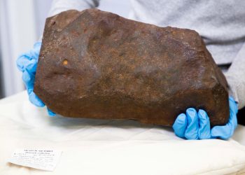 Imagem: reprodução