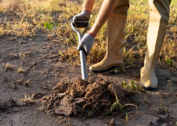 Imagem ilustrativa: Freepik