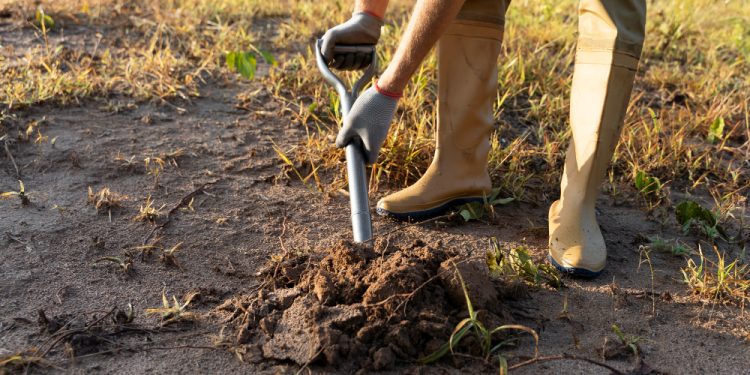 Imagem ilustrativa: Freepik