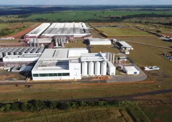 Foto: Divulgação/Ambev