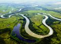 Pantanal Mato-grossense (Foto: Marcos Vergueiro/Governo de Mato Grosso)