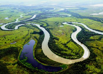 Pantanal Mato-grossense (Foto: Marcos Vergueiro/Governo de Mato Grosso)