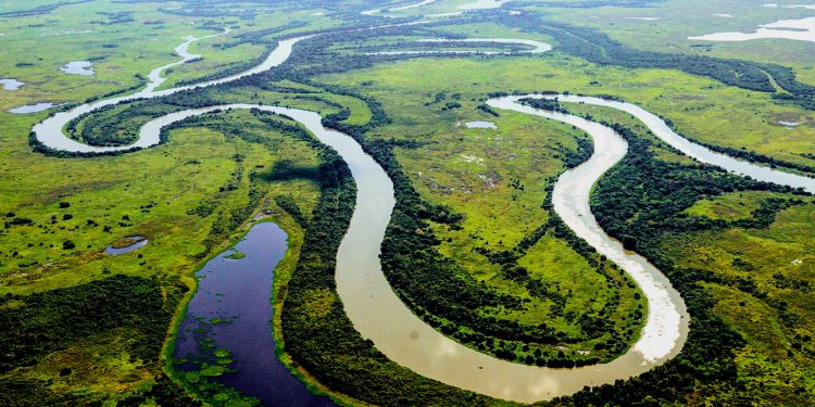 Pantanal Mato-grossense (Foto: Marcos Vergueiro/Governo de Mato Grosso)