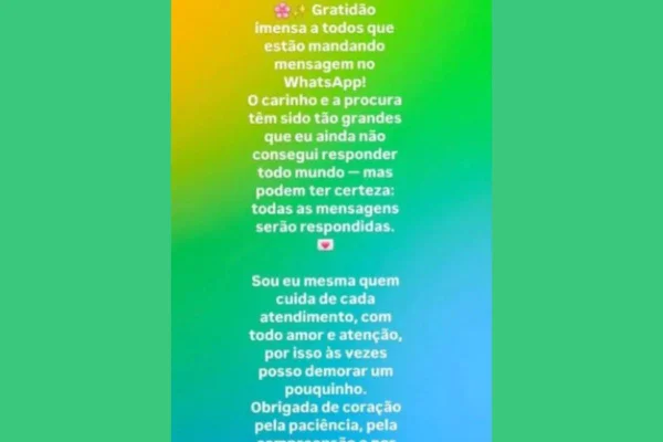 suzane stories instagram