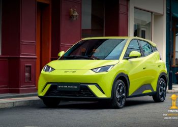 dolphin mini elétrico