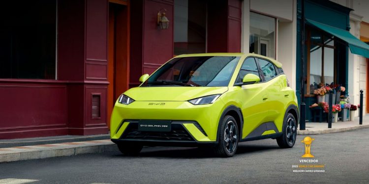 dolphin mini elétrico