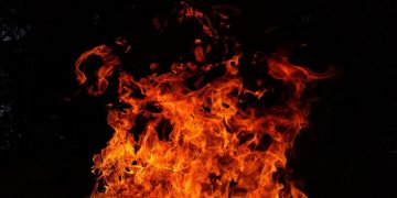 Imagem de Ronald Plett por Pixabay