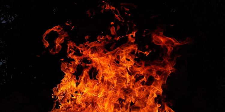 Imagem de Ronald Plett por Pixabay