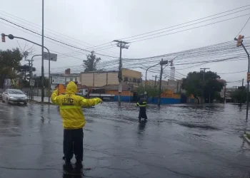Foto: Prefeitura POA/Divulgação