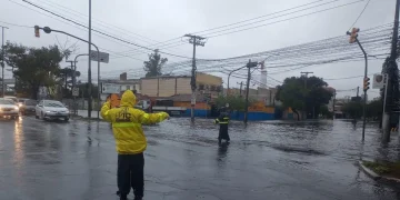 Foto: Prefeitura POA/Divulgação