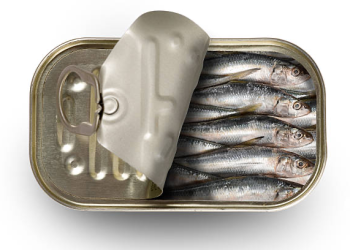 sardinha enlatada