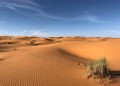 Deserto do Saara (Foto: Greg Gulik/Pexels)