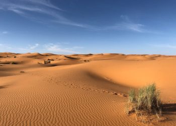 Deserto do Saara (Foto: Greg Gulik/Pexels)