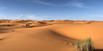Deserto do Saara (Foto: Greg Gulik/Pexels)