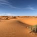 Deserto do Saara (Foto: Greg Gulik/Pexels)