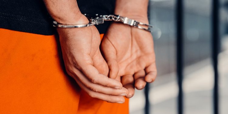 Foto ilustrativa: Kindel Media/Pexels