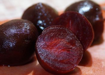 Imagem de ivabalk por Pixabay