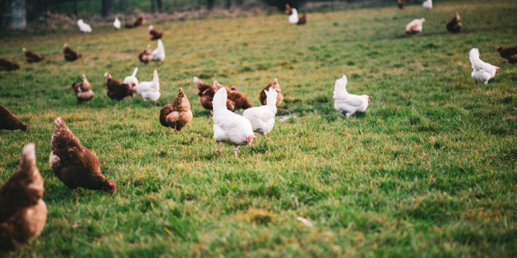 Foto ilustrativa: wirestock/Freepik