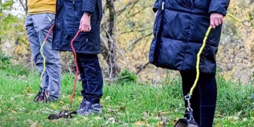 Prática de passear com 'cães invisíveis' é febre na Alemanha (Foto: Reprodução/X)