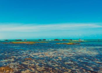 Flecheiras Estrada mais deslumbrante do Brasil