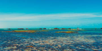 Flecheiras Estrada mais deslumbrante do Brasil