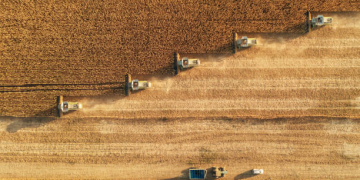 Agro livre de impostos