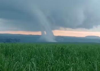 Foto: Diogo Archanjo/Arquivo Pessoal