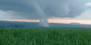 Foto: Diogo Archanjo/Arquivo Pessoal