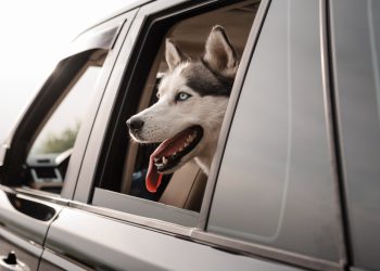 Foto ilustrativa: Freepik