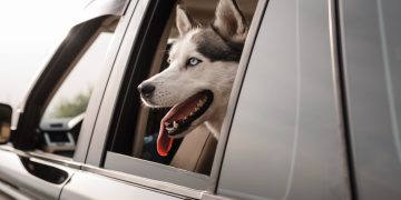 Foto ilustrativa: Freepik