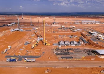 Foto: Divulgação/Arauco