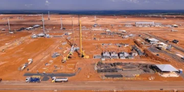 Foto: Divulgação/Arauco