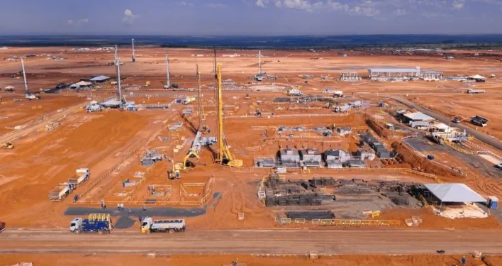 Foto: Divulgação/Arauco