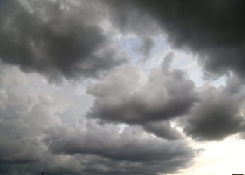 Foto: Cecilia Bastos/USP Imagens