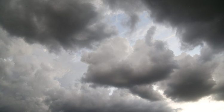 Foto: Cecilia Bastos/USP Imagens