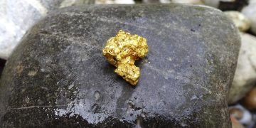 Imagem de Hans por Pixabay