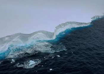 Iceberg
