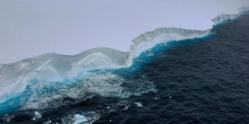Iceberg