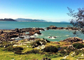 praia do campeche caribe