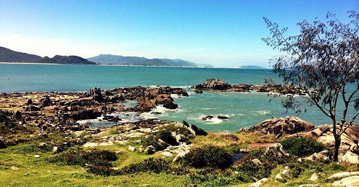 praia do campeche caribe