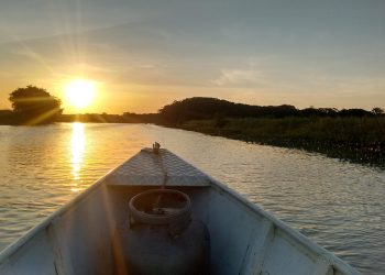 Rio Oiapoque (Imagem de maick por Pixabay)