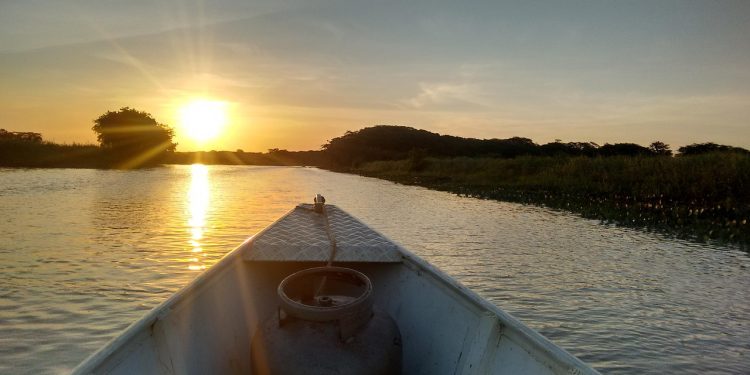 Rio Oiapoque (Imagem de maick por Pixabay)