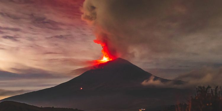 Foto ilustrativa: Irving Joaquin Gutierrez/Pexels