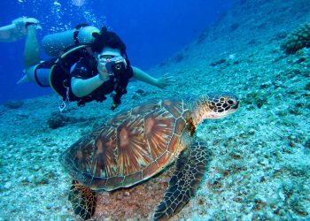 Foto ilustrativa: Richard Segal/Pexels