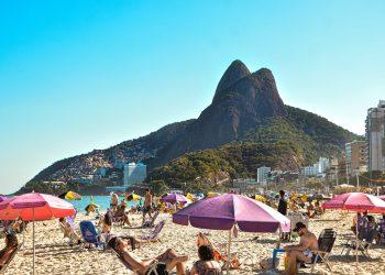 Foto: Willian Laureano/Pexels