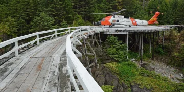 Helicóptero troncos